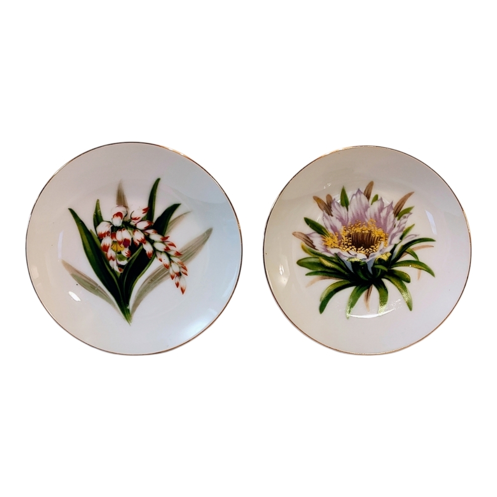 Rosetti Vintage China Chicago Occupied Japan Hand Painted Set Of Two 6" Plates